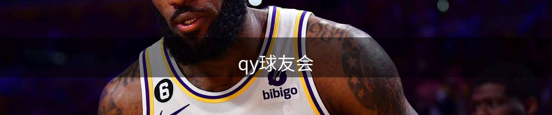 qy球友会
